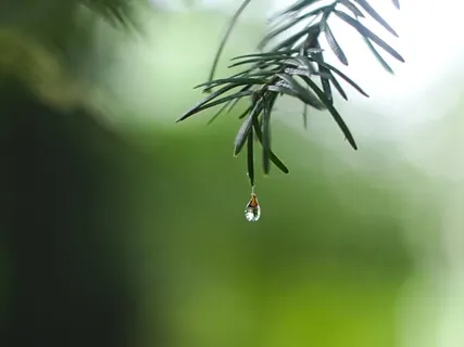 Connecting With “And”