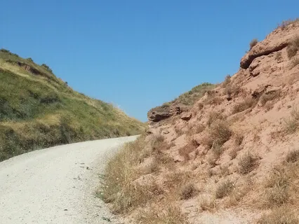 Connecting With Consciousness - First Audio Recording On IT