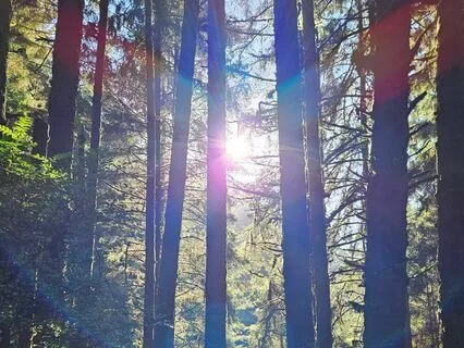 Connecting With Deeper Self, Earth, Heart, And Spirit