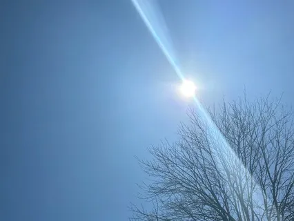 Connecting With Embodied Gratitude