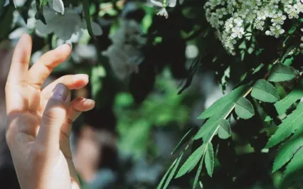 Connecting With God - Lectio Divina