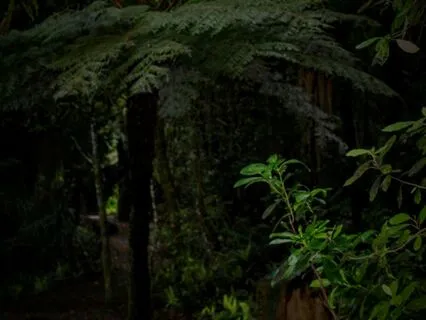 Connecting With Hecate