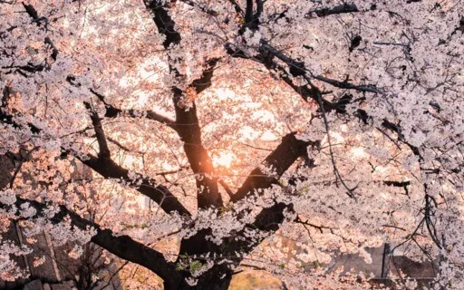 Connecting With Hope