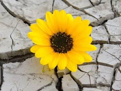 Connecting With Inner Joy And Strength (Akashic Records)