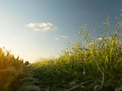 Connecting With Loved Ones, The Other Side