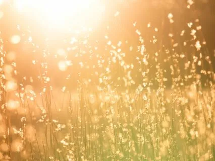 Connecting With Loving-Kindness Wherever You Are