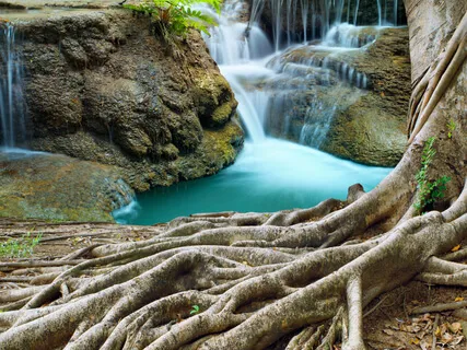 Connecting With Mother Earth