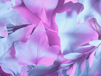 Connecting With My Breath