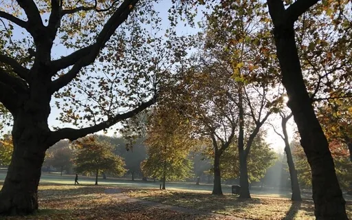 Connecting With Nature