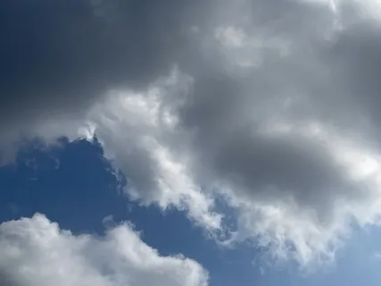 Connecting With Nature - Forest Meditation