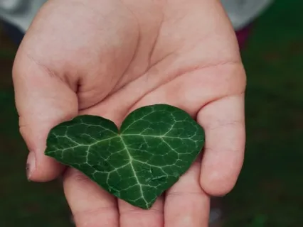 Connecting With Nature To Ease Stress And Restore Calm