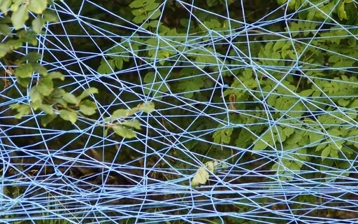 Connecting With Others With Humor