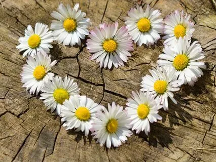 Connecting With Parts Of Your Emotional World