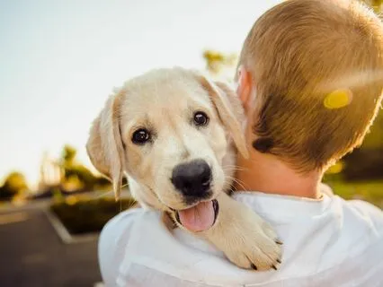 Connecting With Positive People: Embrace Softness