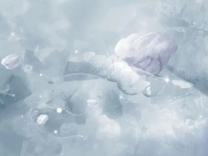 Connecting With Sacred Presence: An IFS Meditation