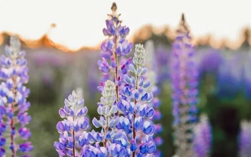 Connecting With Self