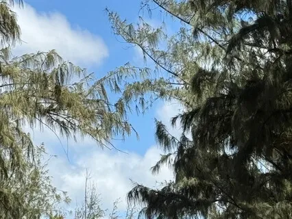 Connecting With That Inner Strength Of Love