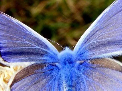 Connecting With The Angel Of Abundance