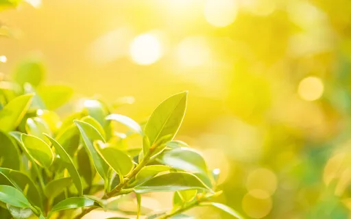 Connecting With The Best In You