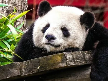 Connecting With The Body With Kindness And Curiosity