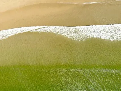 Connecting With The Breath