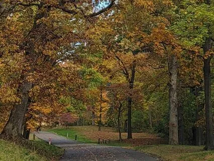 Connecting With The Change Of Seasons