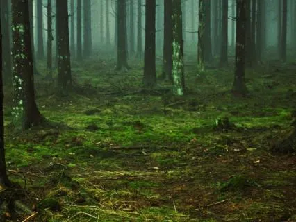Connecting With The Earth - A Grounding Meditation