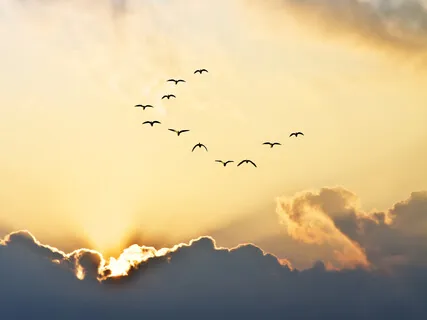 Connecting With The Elements - A Writing Meditation