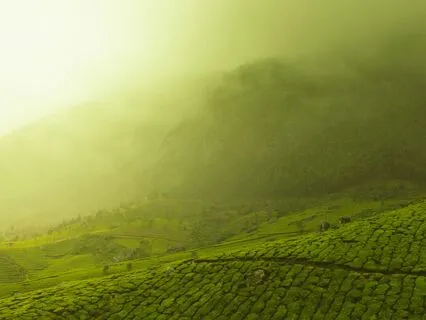 Finding Peace (20 Mins)