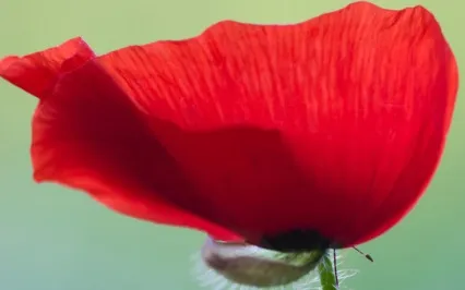 Connecting With The Present Moment