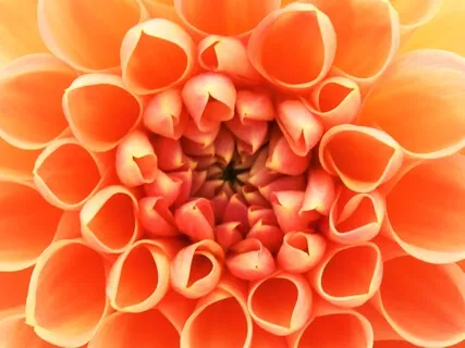 Connecting with the Pulse of Life Within