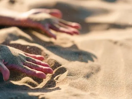 Connecting With The Senses