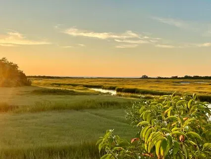 Connecting With The Sounds Of Nature: A Grounding Exercise