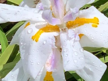 Connecting With The Source Of  Inspiration