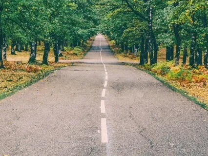 Connecting With The Wisdom In Daily Life