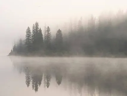 Restoring Calm When You Feel Off Or Unsettled