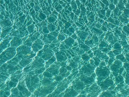 Connecting With Water: Release, Flow & Inner Wisdom