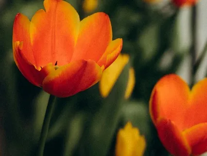 Connecting With Wisdom- March 11