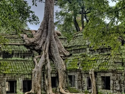 Connecting With Your Ancestors