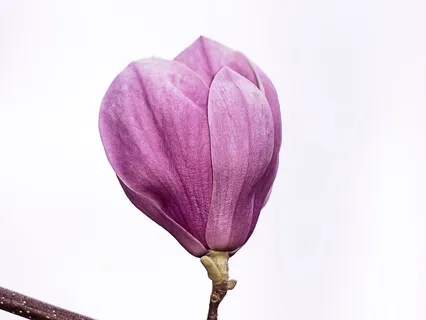 Connecting With Your Authentic Self