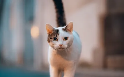 Connecting With Your Body