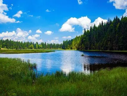 Connecting With Your Breath & Body