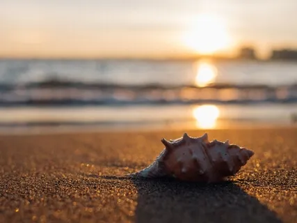 Connecting With Your Compassionate Nature