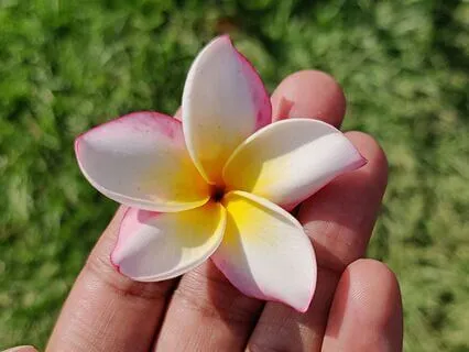 Connecting With Your Confidence And Inner Light