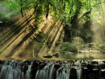 Connecting With Your Essence Of Tranquility