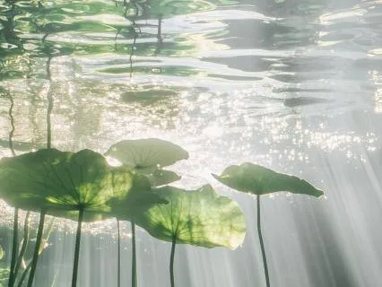 Year Of The Dragon: Courage For A New Chapter