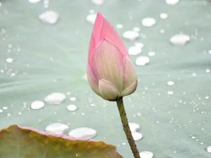 Connecting With Your Inner Light - Meditation