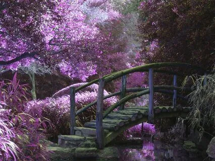 Connecting With Your Inner Magician