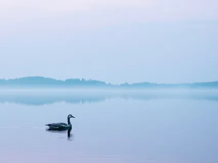 Connecting With Your Inner Stillness