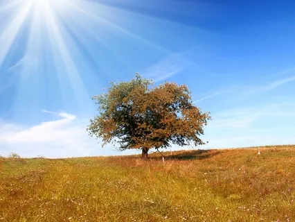 Connecting With Your Intuition